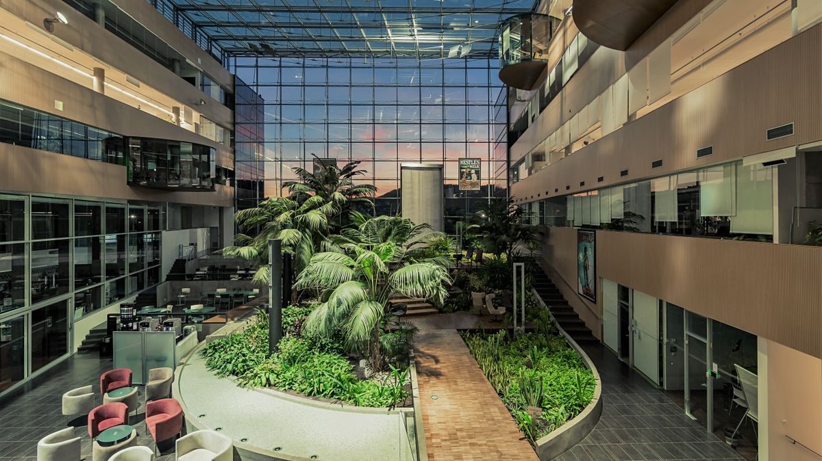 Pronájem kanceláře 740 m² – fotografie 4