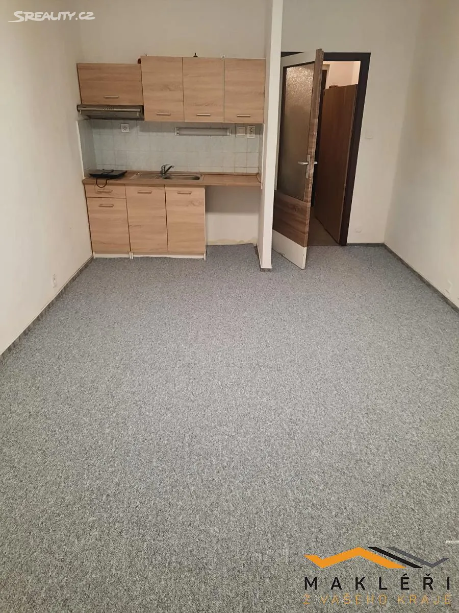 Pronájem bytu 1+kk 28 m² - Widok 2