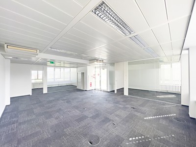 Pronájem kanceláře 236 m² — photo 2