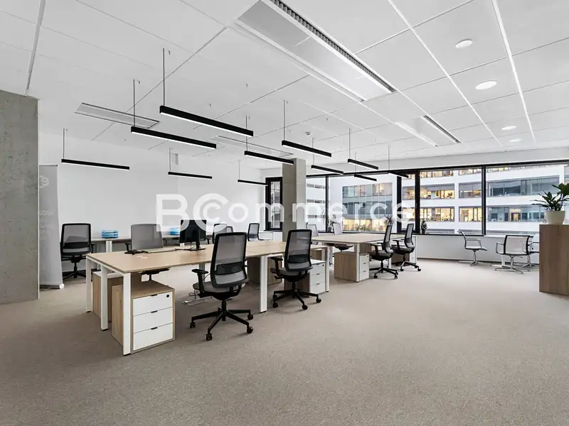 Pronájem kanceláře 310 m², Brno – náhled fotky 3