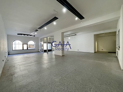 Pronájem komerčního prostoru, 213 m² (3 z 13)