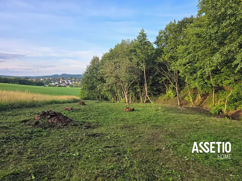 Prodej louky 739 m², Doubravy – náhled fotky 3