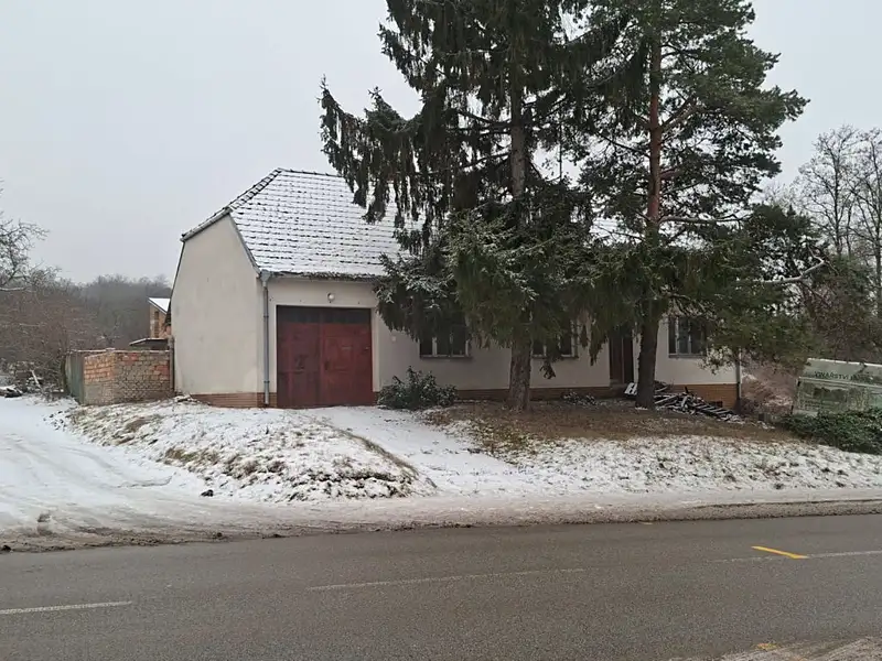 Prodej rodinného domu 158 m², pozemek 6169 m², Hustopeče – náhled fotky 1