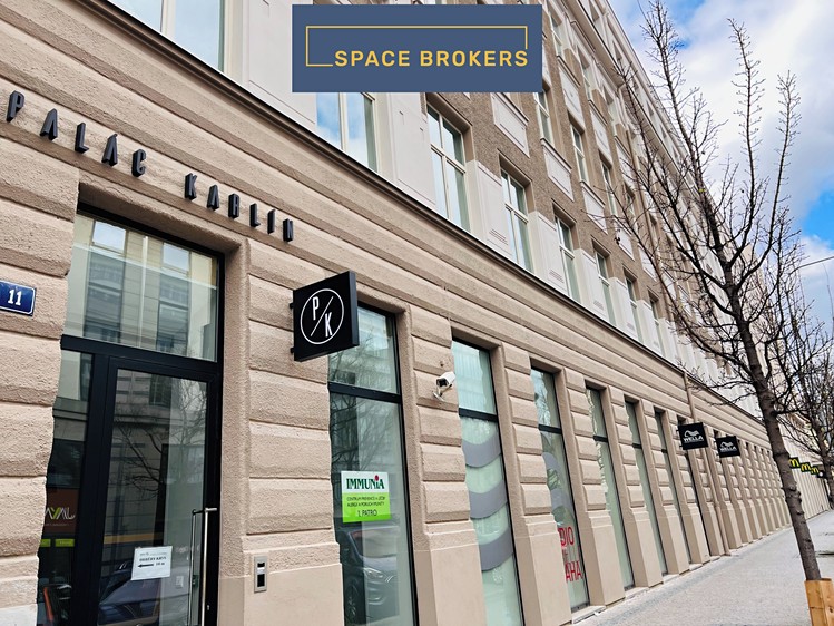 Pronájem komerčního prostoru, 550 m² (14 z 15)