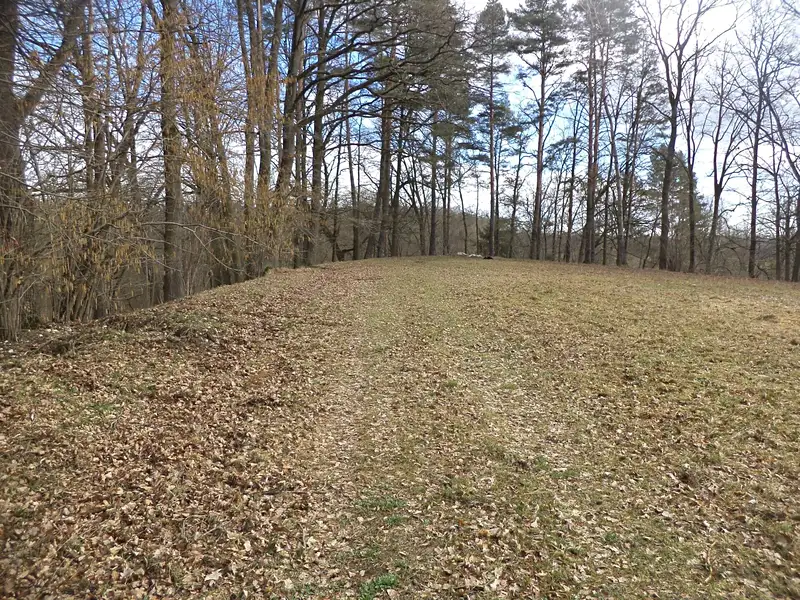 Prodej pozemku 6591 m², Novosedly nad Nežárkou – náhled fotky 3