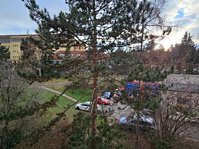 Prodej bytu 1+kk 28 m² (Jednopodlažní)