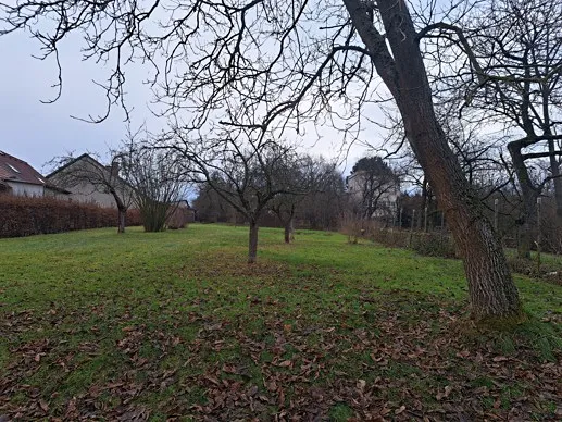 Fotka 9 z 10