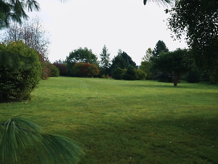 Grundstück zum Kauf, 7.200 m² (14 von 19)