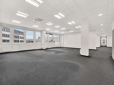 Pronájem komerčního prostoru, 479 m² (3 z 10)