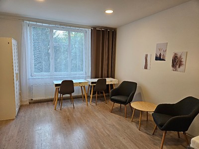 Pronájem bytu 1+1 35 m²