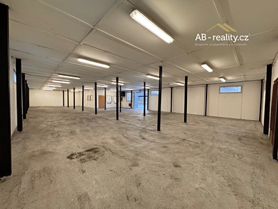 Gewerbefläche zur Miete, 274 m² (3 von 7)