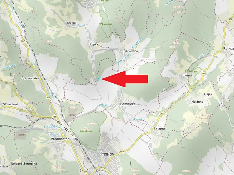 Prodej lesa 7166 m², Lomnička – náhled fotky 2
