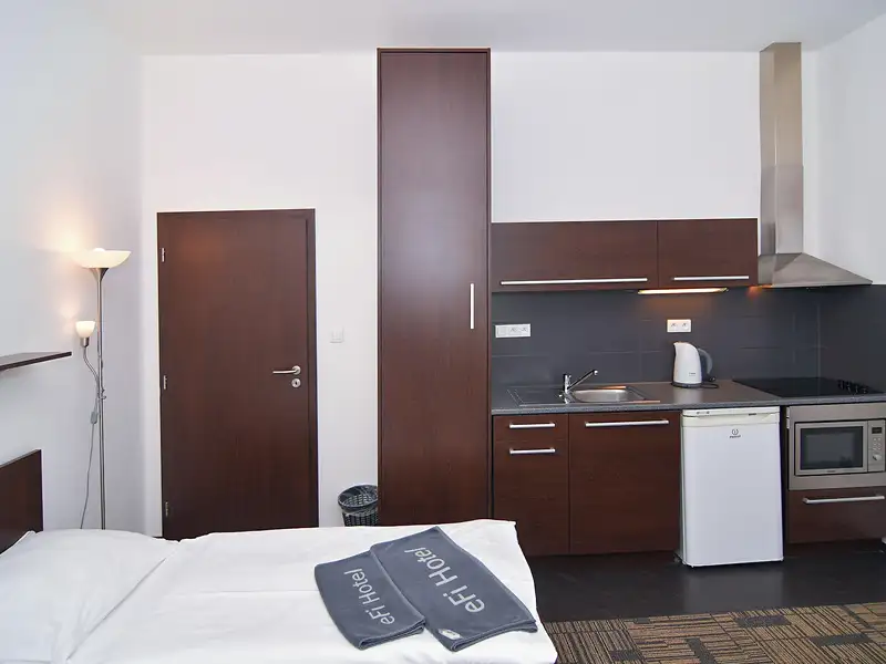 Prodej bytu 1+kk 24 m², Brno – náhled fotky 1
