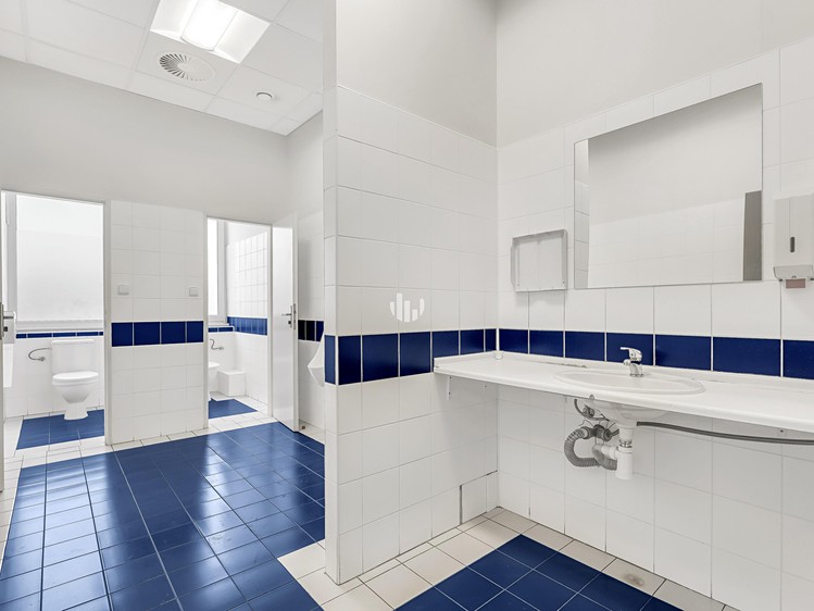 Pronájem komerčního prostoru, 479 m² (10 z 10)