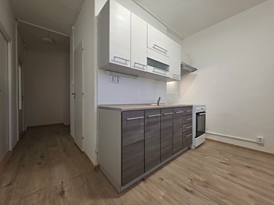Pronájem bytu 2+1 55 m² (Jednopodlažní)