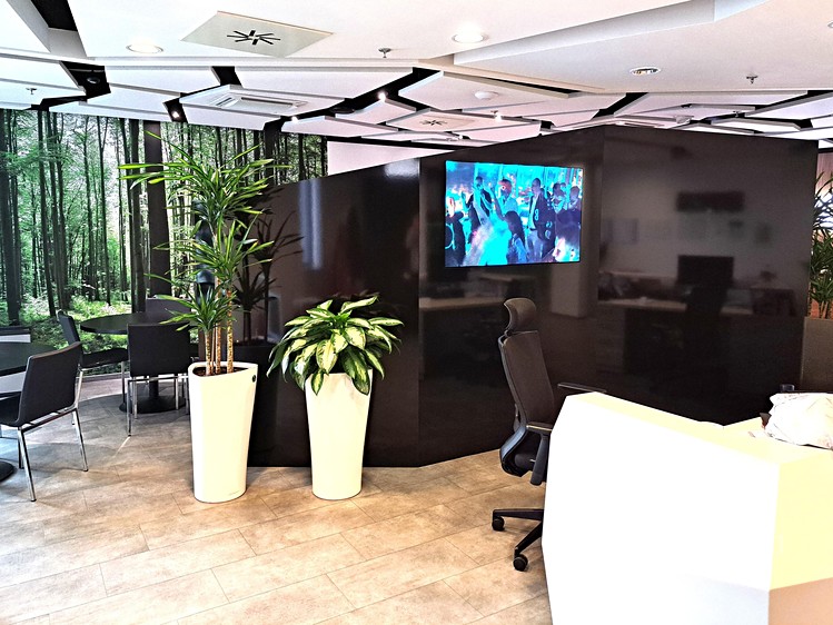 Pronájem komerčního prostoru, 495 m² (3 z 8)