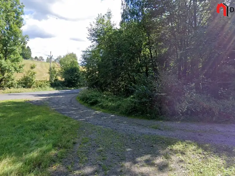 Prodej lesa 1248 m², Zlatá Olešnice – náhled fotky 3