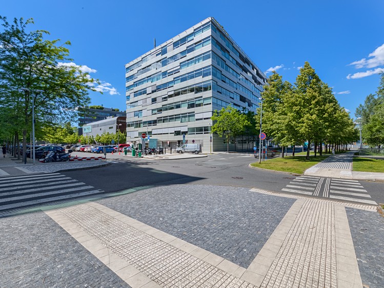 Комерційне приміщення в оренду, 743 м² (14 з 20)