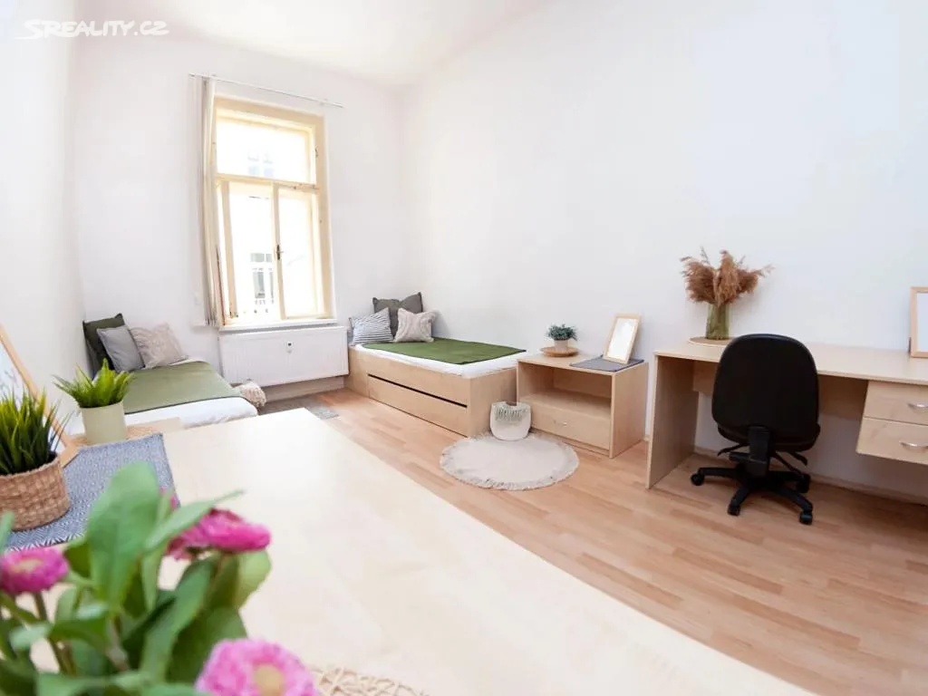Pronájem bytu pokoje 15 m², Brno