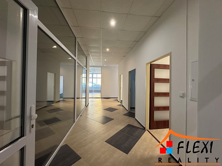 Комерційне приміщення в оренду, 390 м² (7 з 12)