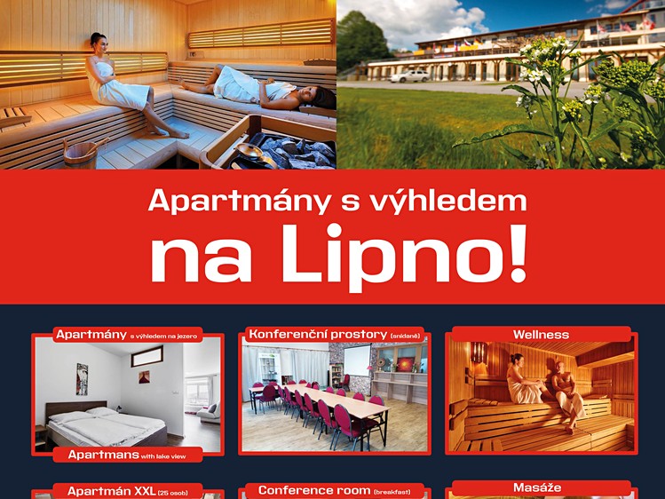 Pronájem bytu 1+kk, 42 m² (20 z 30)