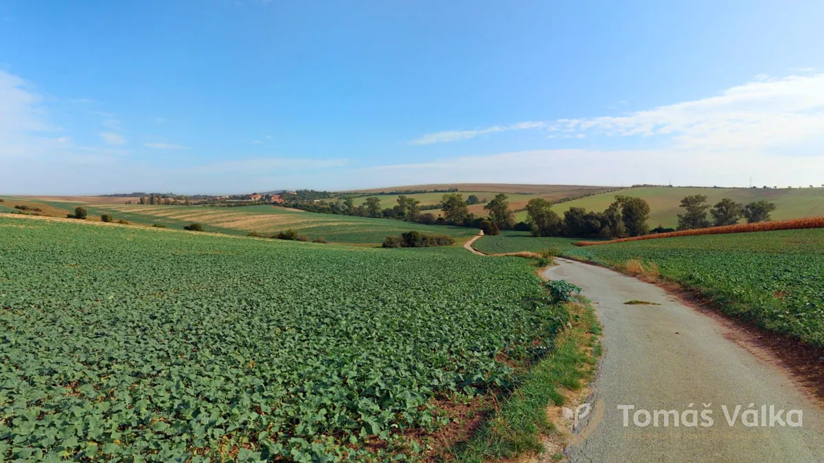 Prodej podílu 2/9 pole 2909 m²
