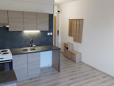 Pronájem bytu 1+1 36 m² (Jednopodlažní)