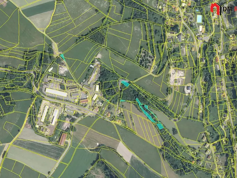 Prodej lesa 1248 m², Zlatá Olešnice – náhled fotky 1