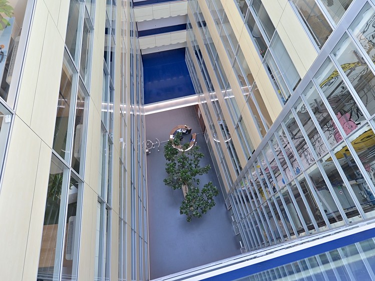 Комерційне приміщення в оренду, 743 м² (16 з 20)