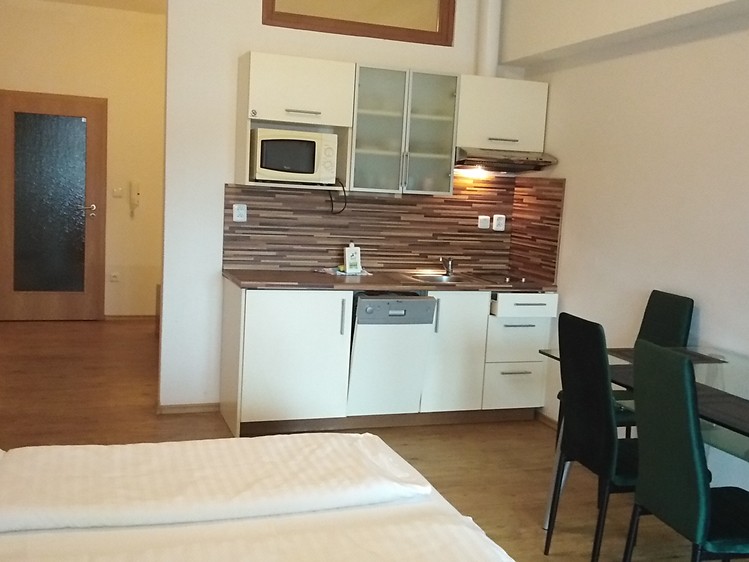 Pronájem bytu 1+kk, 42 m² (18 z 30)