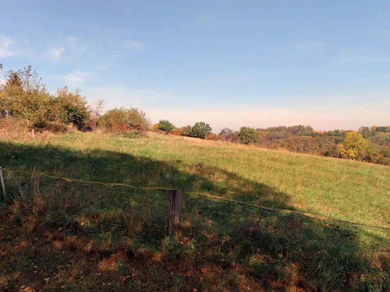Prodej lesa 87548 m², Kouřim – náhled fotky 1