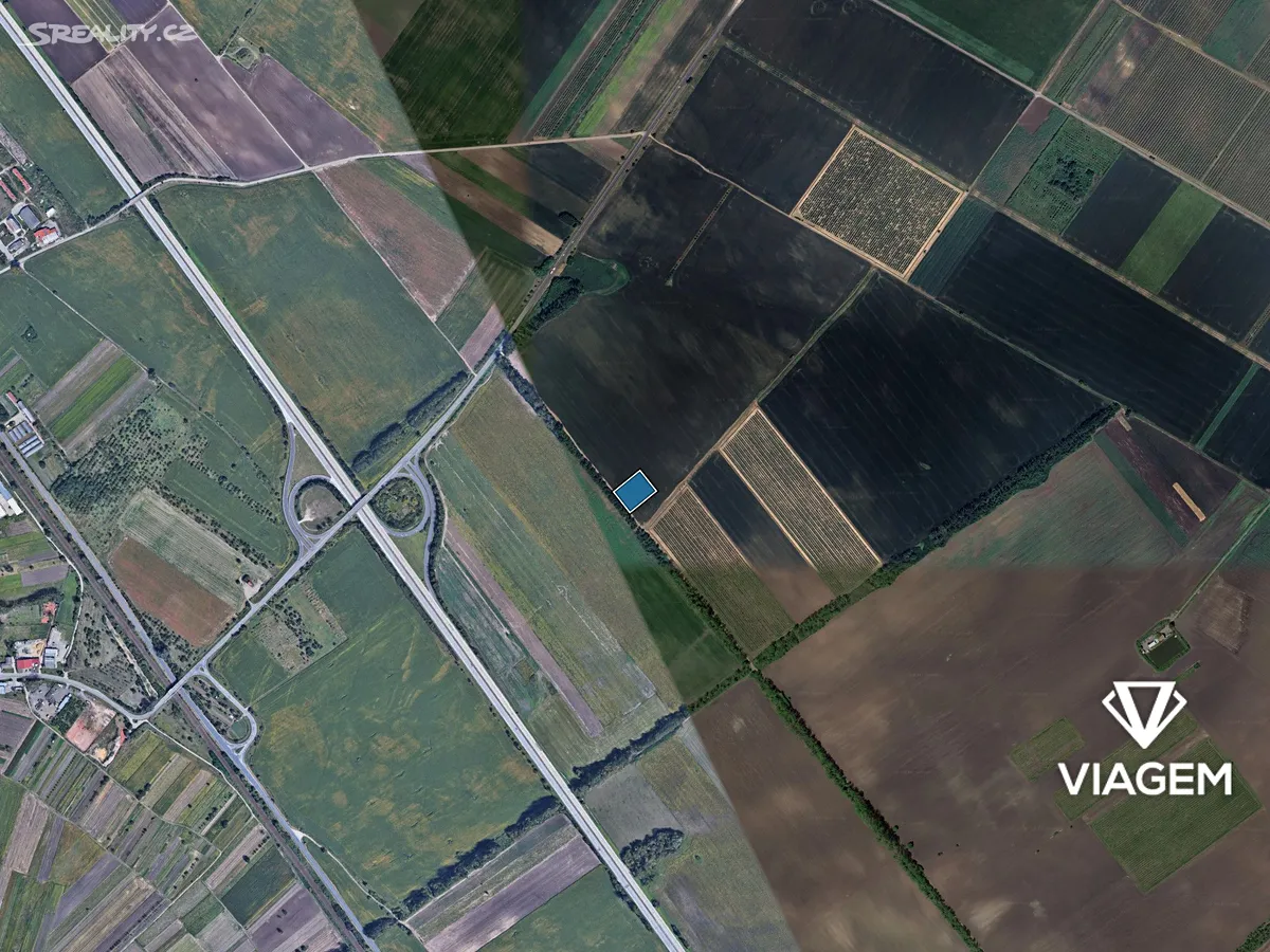 Prodej pole 3815 m² – pohled 3
