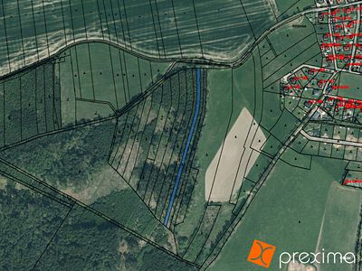 Prodej lesa 3112 m²