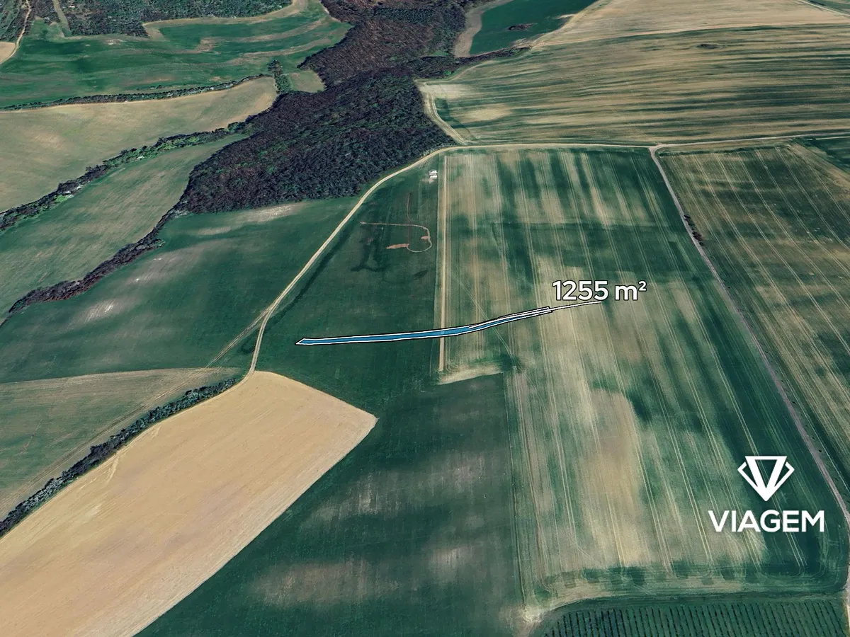 Prodej pole 1255 m²