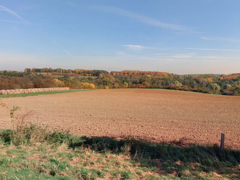 Prodej lesa 87548 m², Kouřim – náhled fotky 2