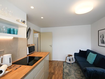 Prodej bytu 2+kk 47 m² (Jednopodlažní)