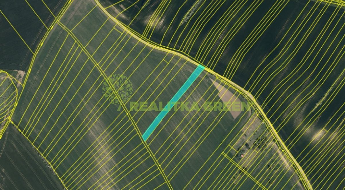 Prodej pole 8725 m²