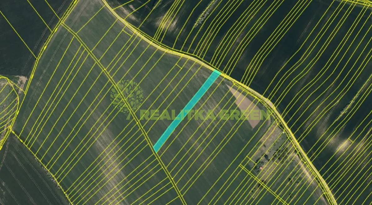 Prodej pole 8725 m²