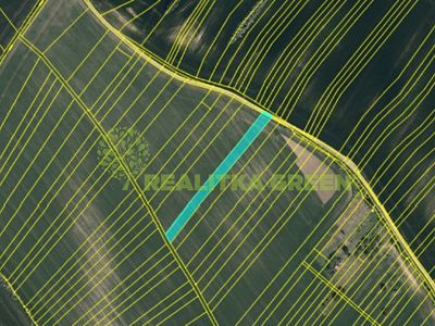 Prodej pole 8725 m²