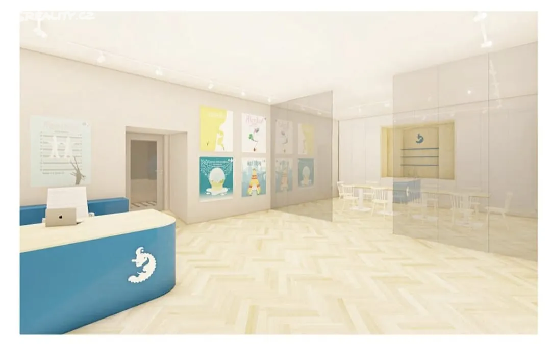 Pronájem obchodního prostoru 136 m² – další
