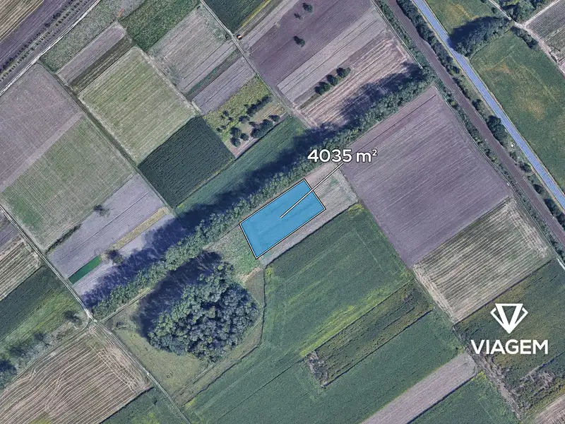 Prodej pole 4035 m², Podivín – náhled fotky 2