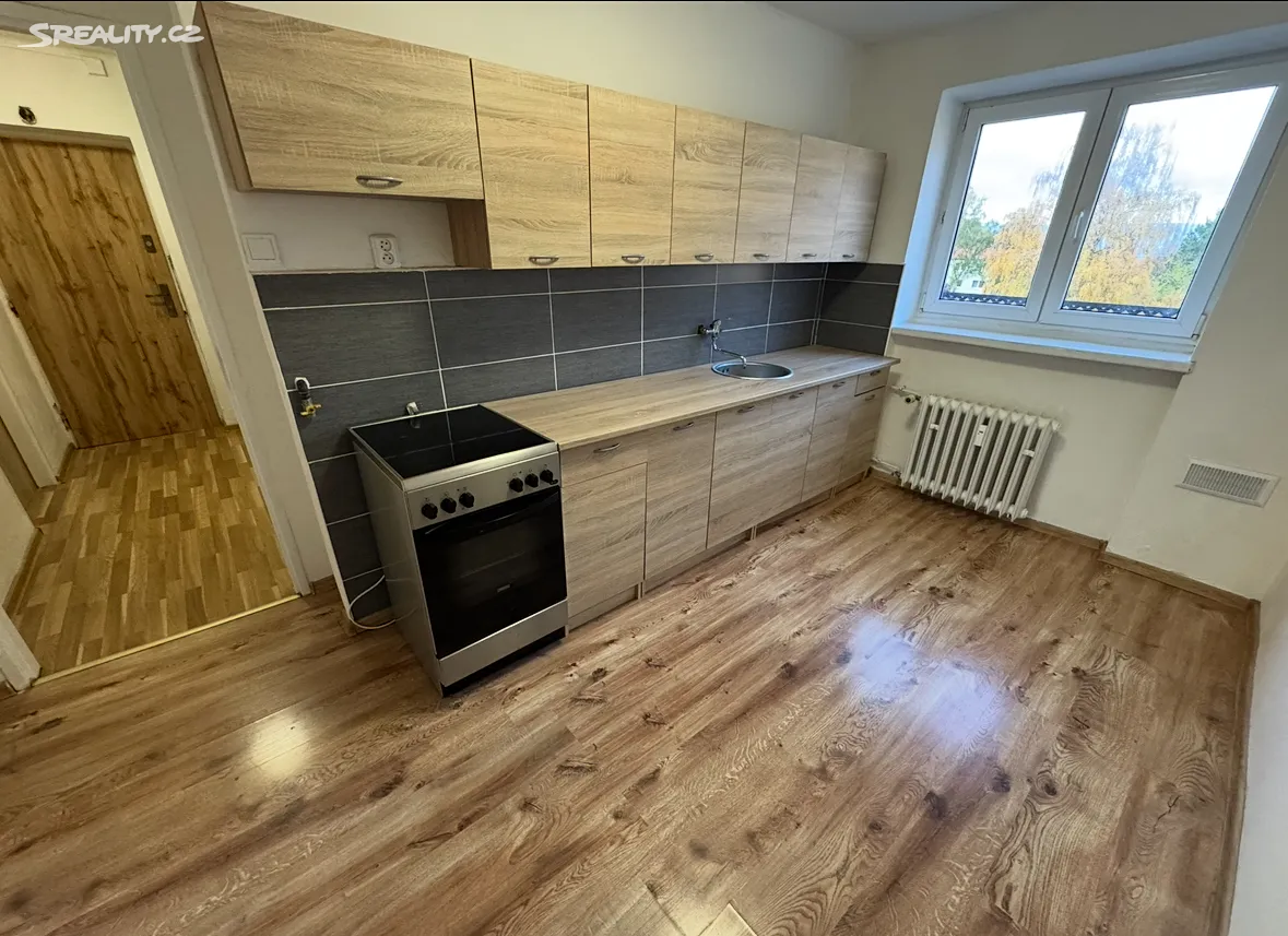 Pronájem bytu 2+1 55 m², Antonína Dvořáka