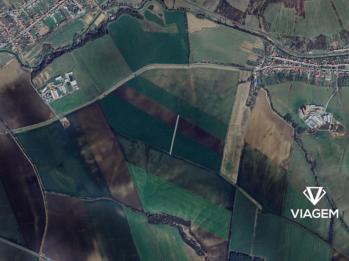 Prodej pole 3219 m² – fotografie 3