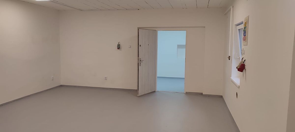 Pronájem výrobní haly, prostoru 60 m²