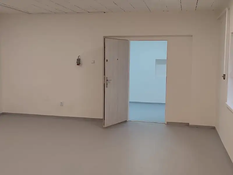 Pronájem výrobní haly, prostoru 60 m², Brno – náhled fotky 1