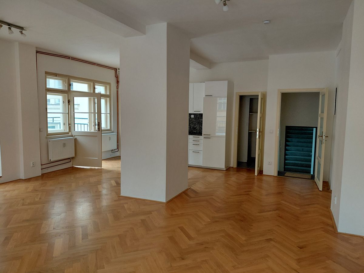 Pronájem bytu 1+kk 114 m² – fotografie 2