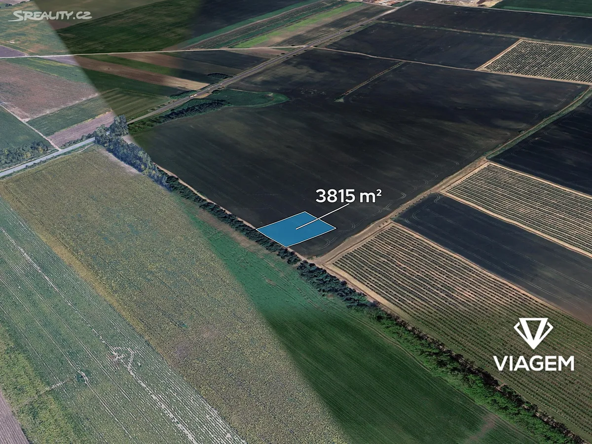 Prodej pole 3815 m², Podivín