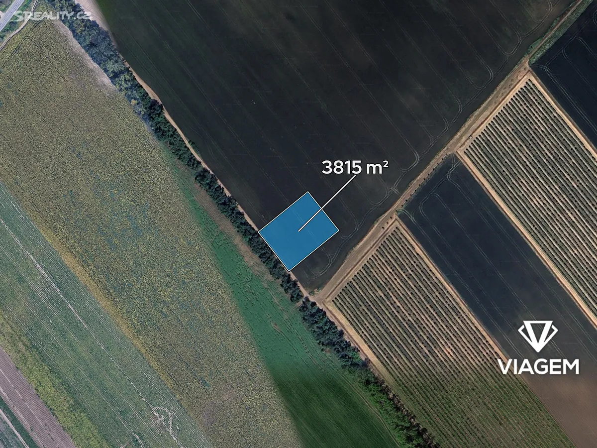 Prodej pole 3815 m² – pohled 2