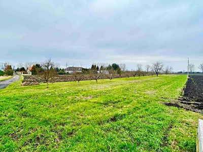 Prodej  stavebního pozemku 2 629 m² — photo 3