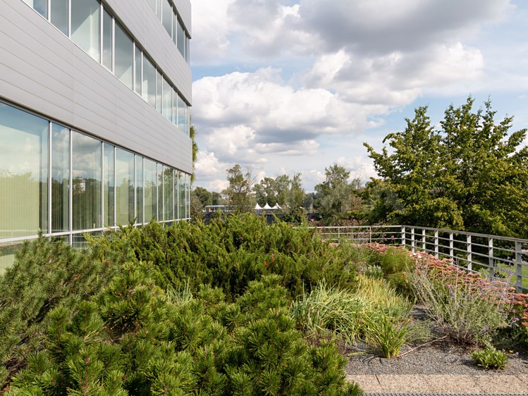 Gewerbefläche zur Miete, 291 m² (18 von 20)